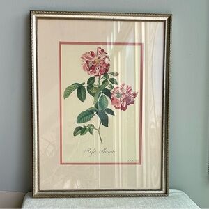 ROSE fine botanical print in gallery matting/framing 15x20
